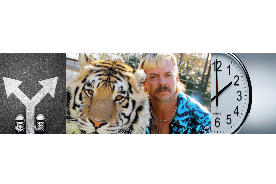 3 Business Lessons Learned From Watching The Tiger King